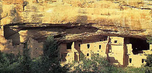 Photo of the Mesa Verde cliff dwelling Spruce Tree House, catching some sun.