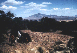 Colorado N.M.