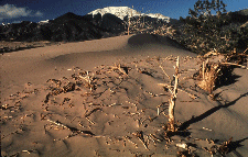 Great Sand Dunes N.M.