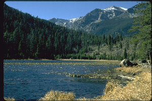 photo of Cub Lake